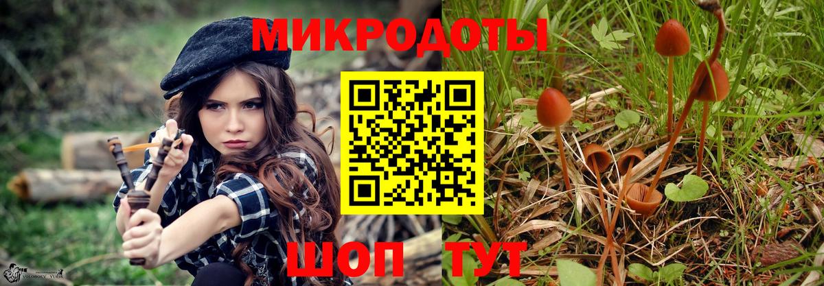Псилоцибиновые грибы ЛСД Качканар