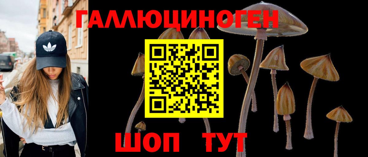 Качканар  Псилоцибиновые грибы Psilocybine cubensis  Галлюциногенные грибы ЛСД  Вход с VPN 